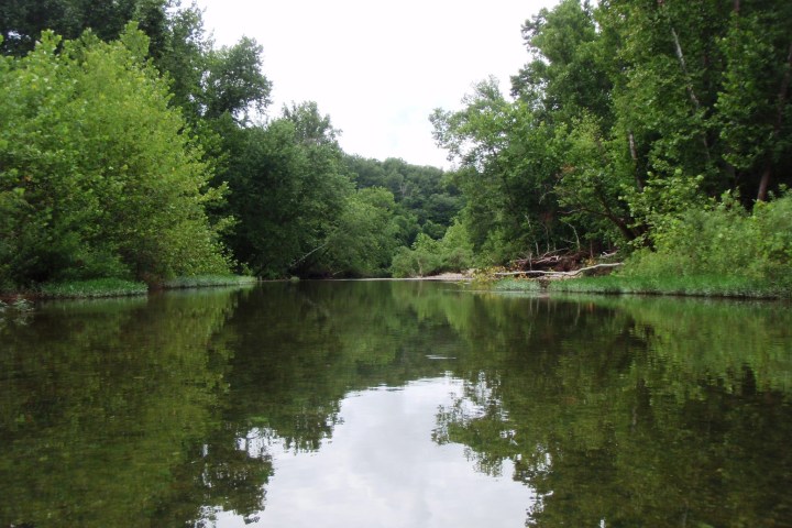 Meramec River surrounded by green trees